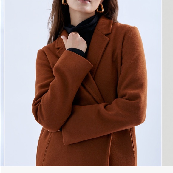 NWOT - Aritzia (Babaton) Stedman Coat in Rich Camel shade 🤎 - Picture 2 of 7